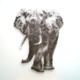 Illustration for article titled 7 Artists Who See the Big Picture in Tiny Objects